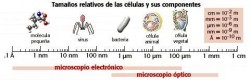 Nociones sobre dimensiones